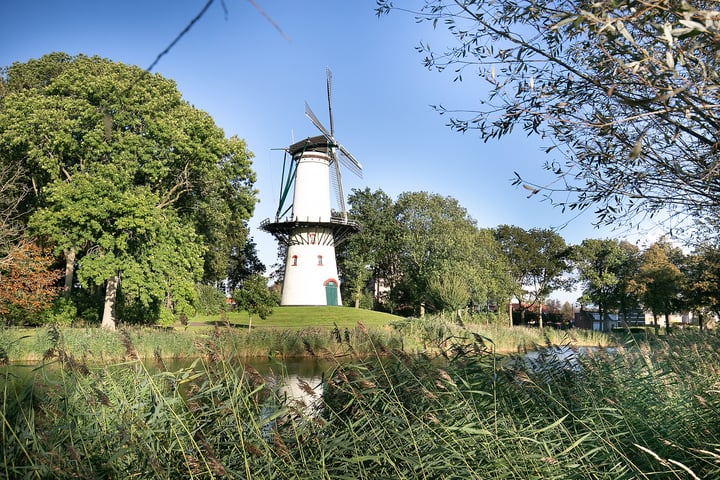 Bekijk foto 45 van Maria van Vlaanderenstraat 6