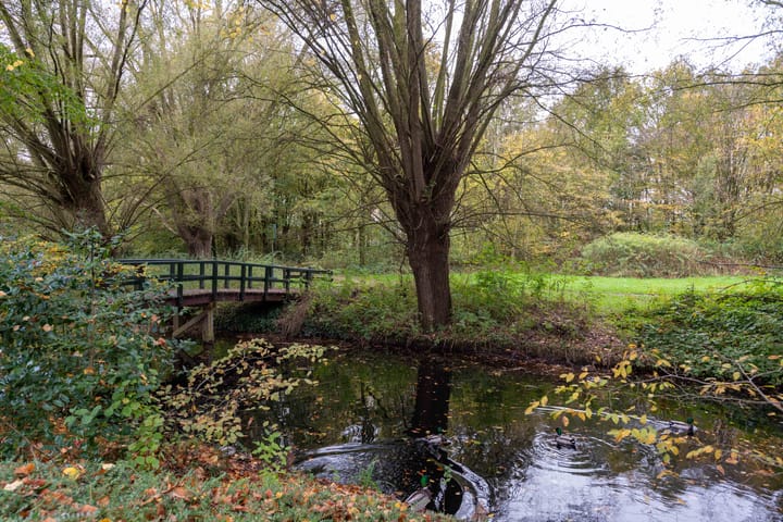 Foto 36 van Zeeweg 229