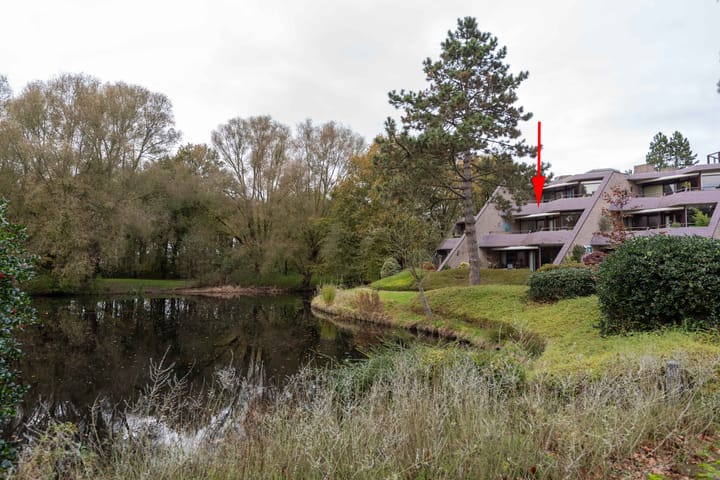 Foto 38 van Zeeweg 229