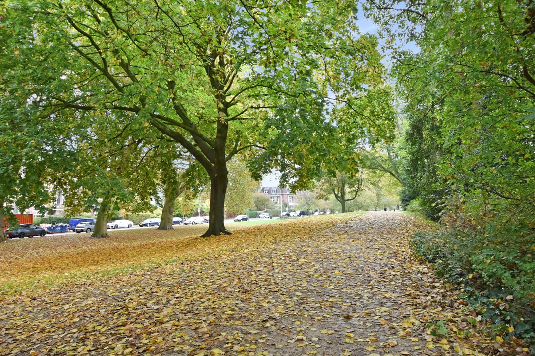 Foto 47 van Koningsplein 57