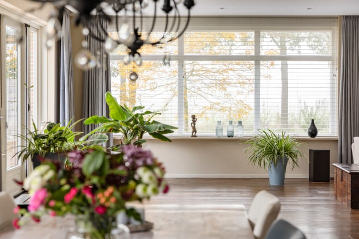 Foto 18 van Frieswijkerweg 4