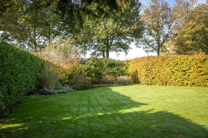 Foto 60 van Frieswijkerweg 4