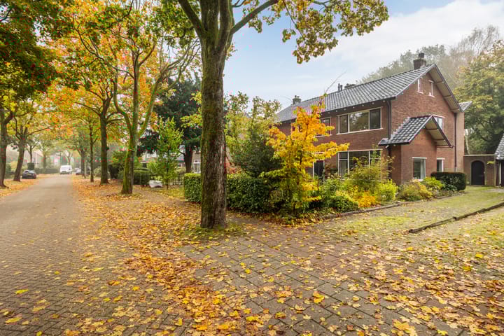 Foto 2 van Plasweg 57-A