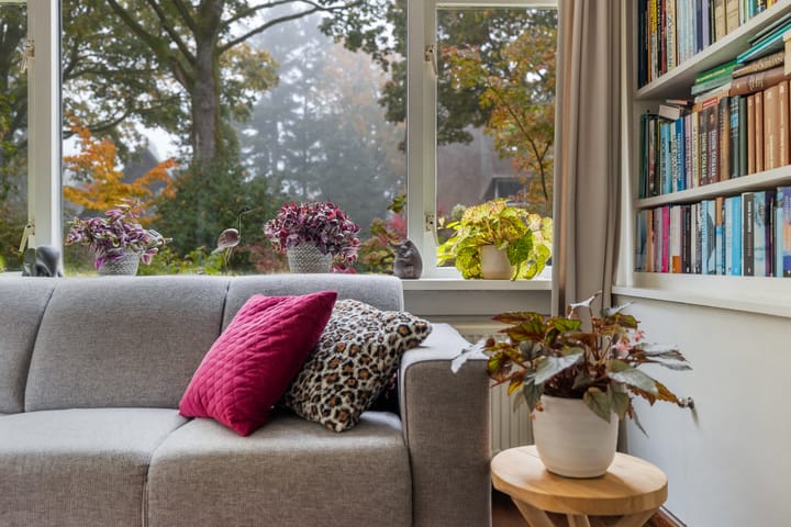 Foto 6 van Plasweg 57-A