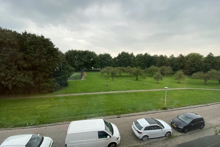 View photo 14 of Nachtegaal 102