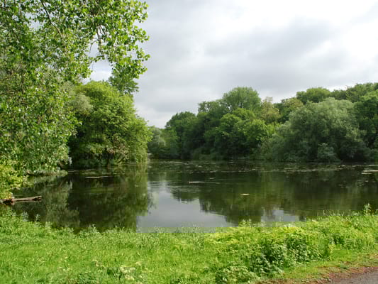 Photo 14 of Kralingseweg 131