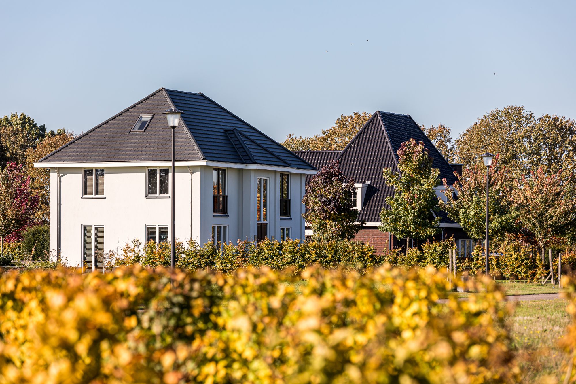 Photo 9 of Villa Parc Arcen