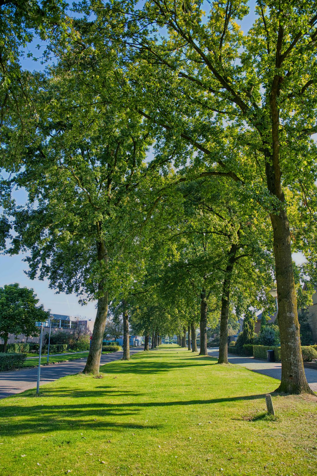 Foto 38 van Padevoortseallee 24