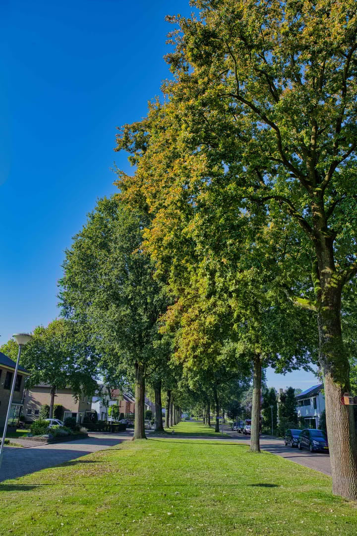 Foto 39 van Padevoortseallee 24