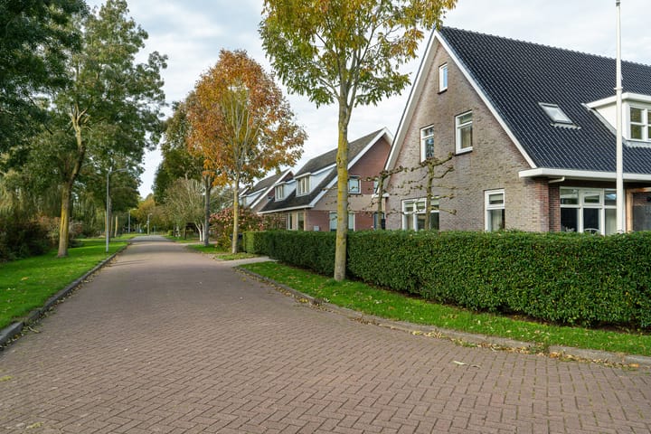 Foto 6 van Roggeblom 15