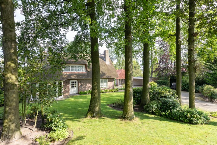 Foto 50 van Dreef 55