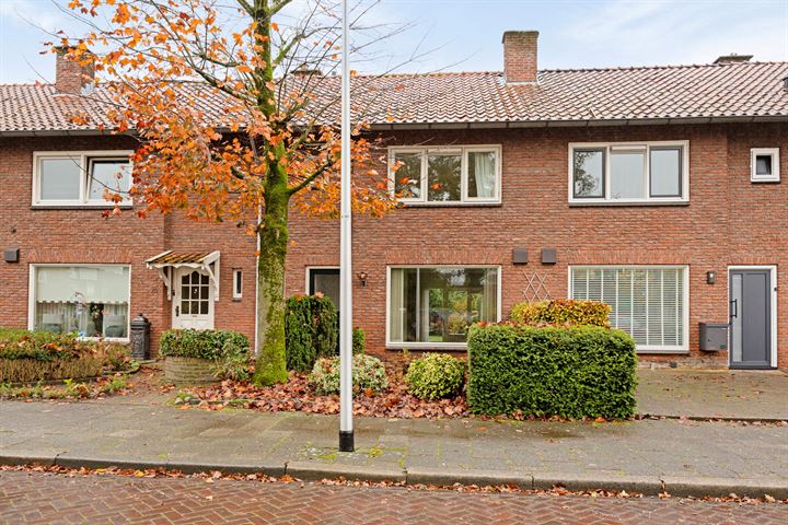 View photo 8 of Buizerdstraat 22