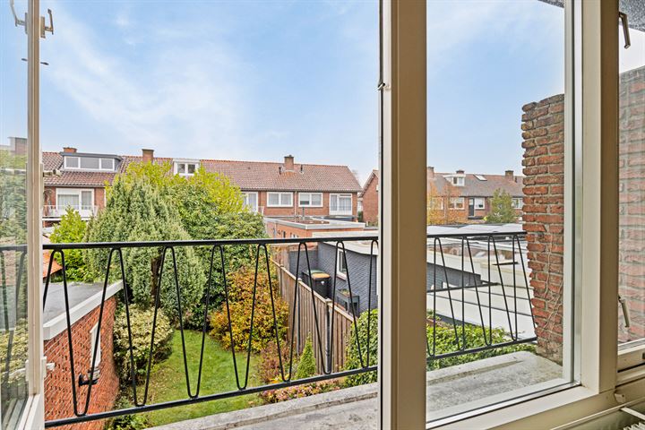 View photo 10 of Buizerdstraat 22