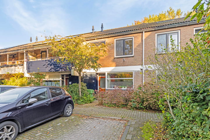 Foto 8 van Lijsterbes 17