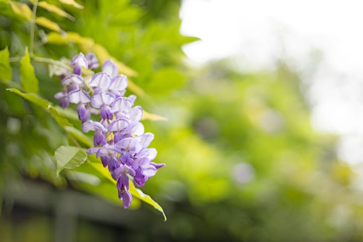 Foto 36 van Sint Janstraat 74