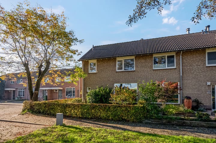 Foto 41 van Burgemeester van Lyndenpark 29