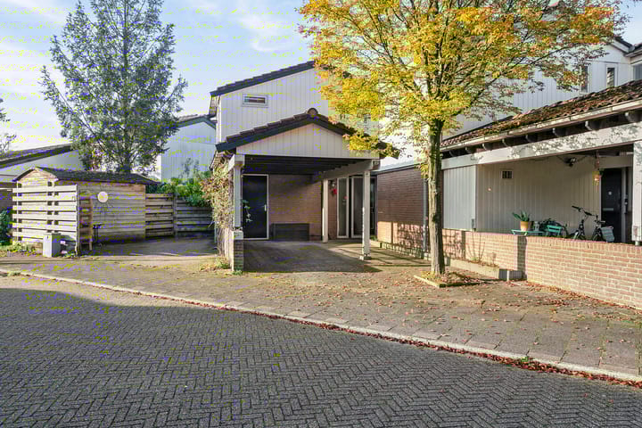 Foto 2 van Gemini 201