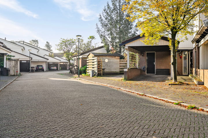 Foto 4 van Gemini 201