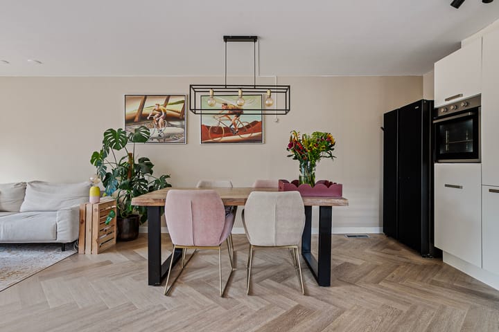 Foto 11 van Gemini 201