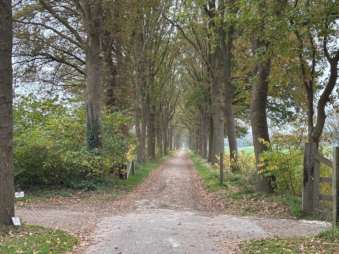 Foto 62 van Kolonieweg 3-20