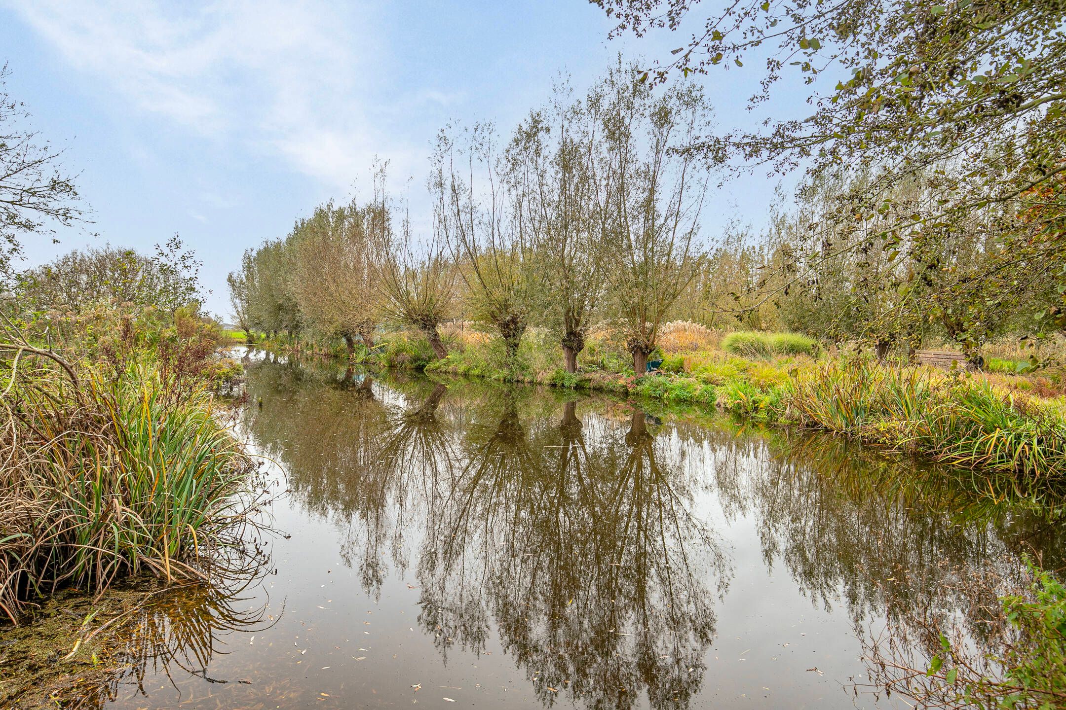 Photo 51 of Beijerscheweg 61