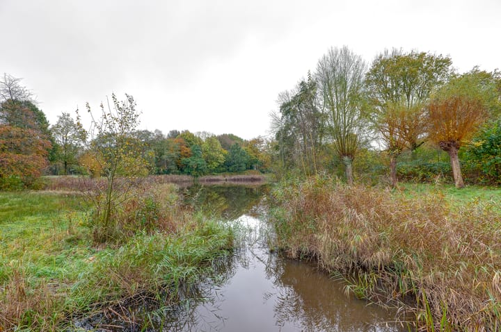 Foto 41 van Mainstraat 58