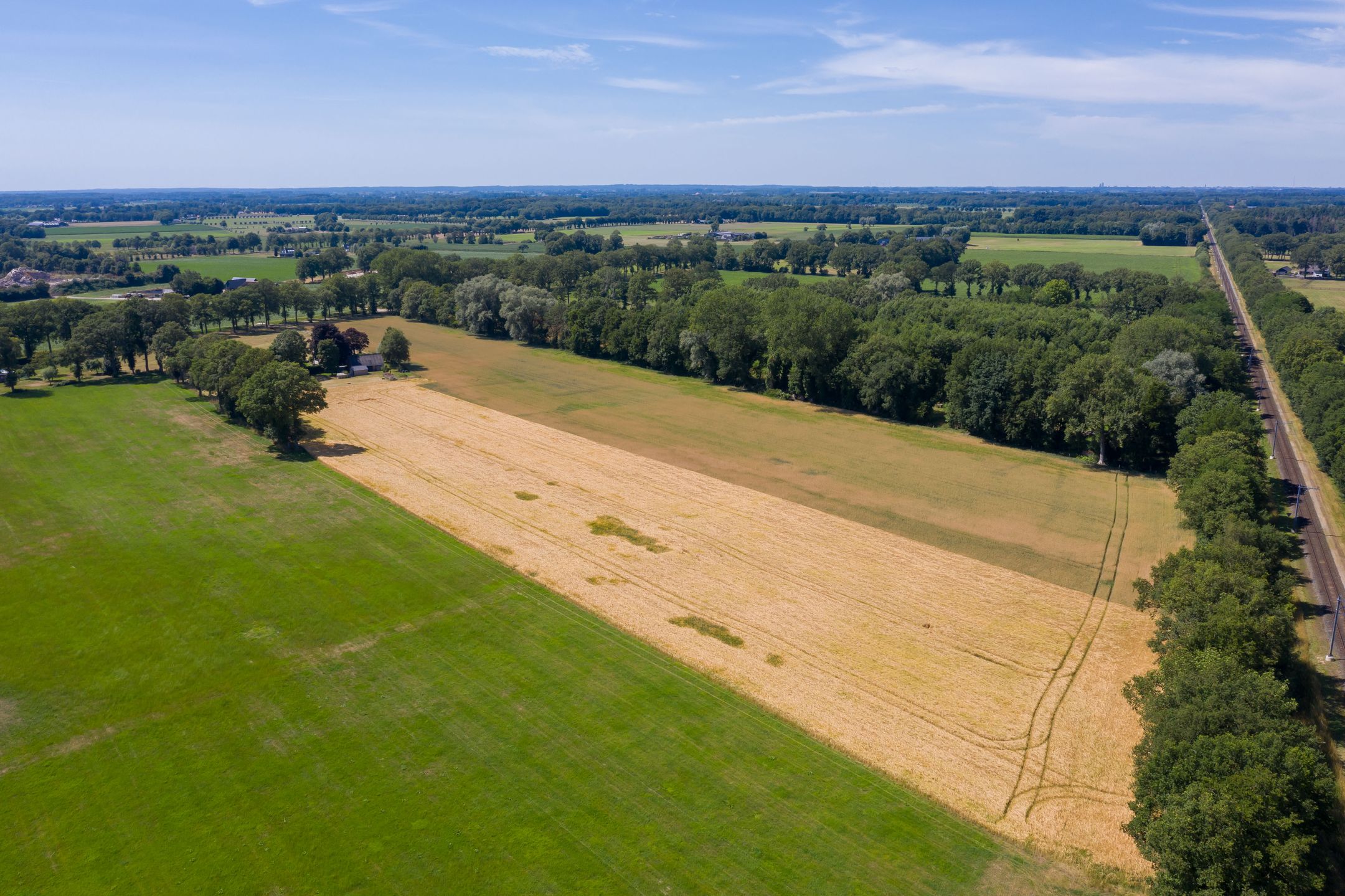 Foto 12 van Hondemotsweg, Wonen in het Veld (Bouwnr. Kavel F)