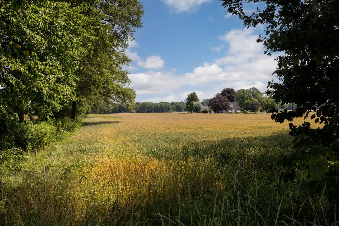 Foto 13 van Hondemotsweg, Wonen in het Veld (Bouwnr. Kavel F)