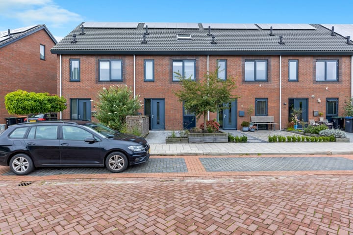 Foto 2 van Anemoon 11