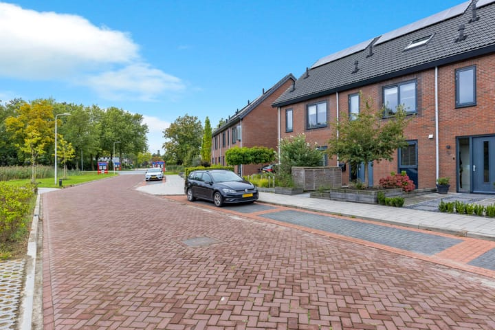 Foto 3 van Anemoon 11