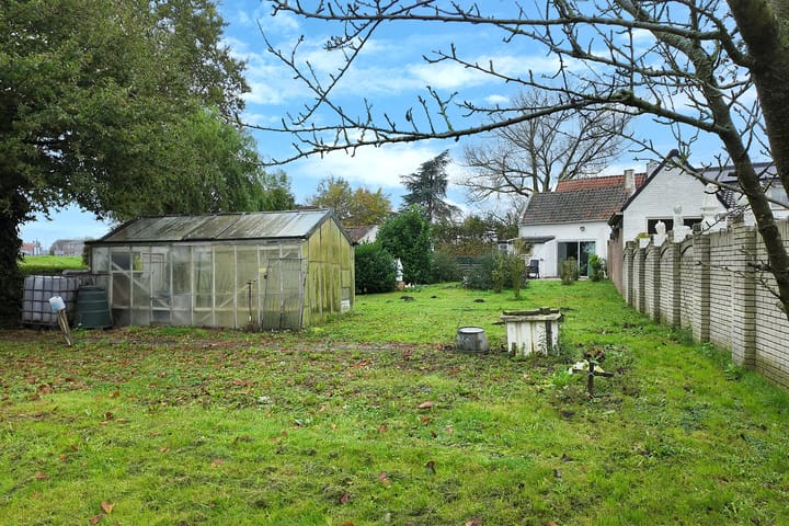 Foto 44 van Pelikaan 10