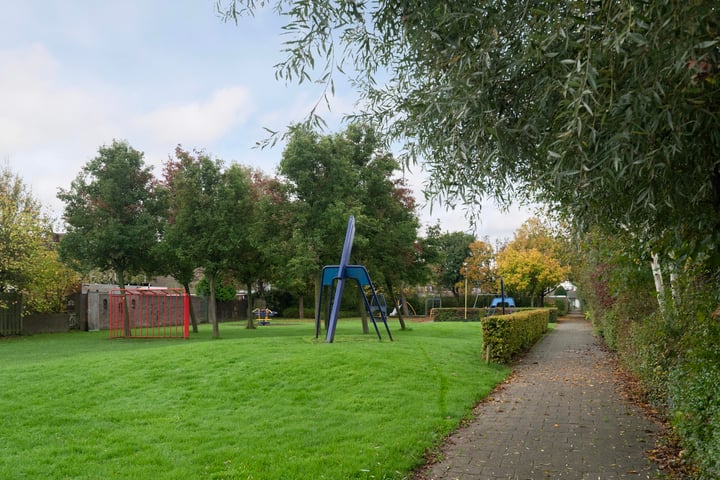 Bekijk foto 43 van Rodenrijseweg 379