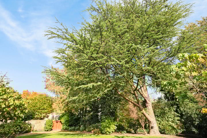 Foto 24 van Gemberstraat 20