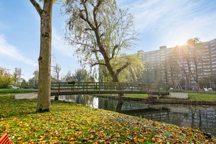 Bekijk foto 40 van Valeriusrondeel 39