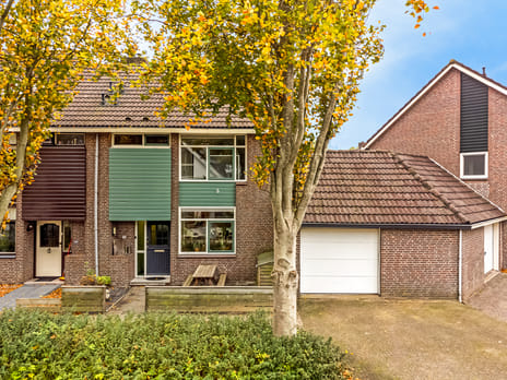 undefined main image