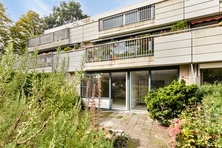 Foto 1 van Homoet 31