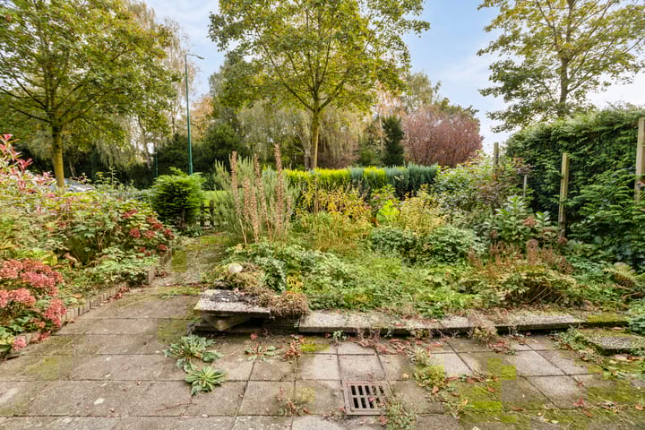 Foto 3 van Homoet 31