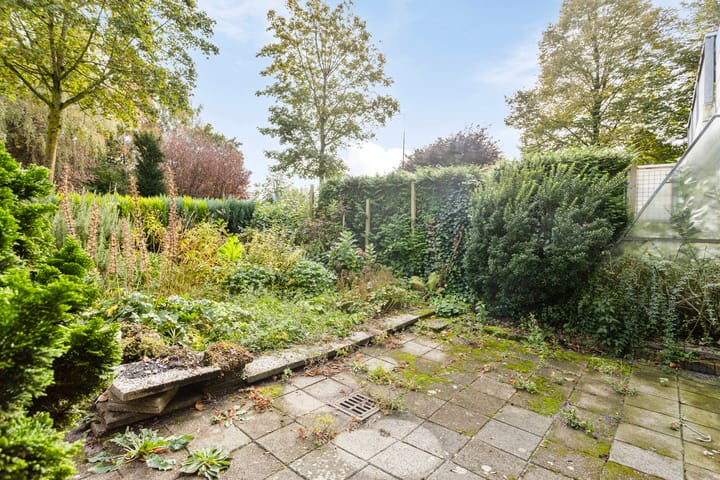 Foto 8 van Homoet 31