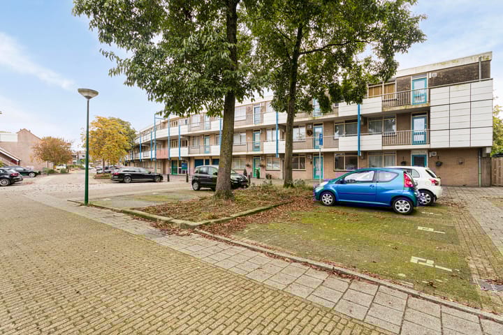 Foto 24 van Homoet 31