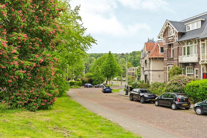 Bekijk foto 3 van Sweerts de Landasstraat 109-1