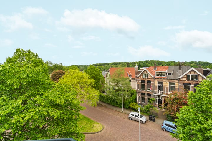 Foto 44 van Sweerts de Landasstraat 109-1