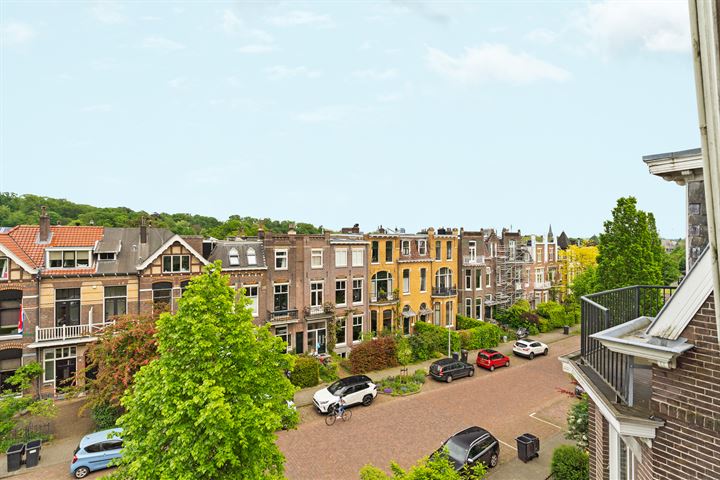 View photo 45 of Sweerts de Landasstraat 109-1