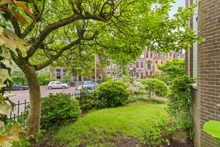 Foto 54 van Sweerts de Landasstraat 109-1