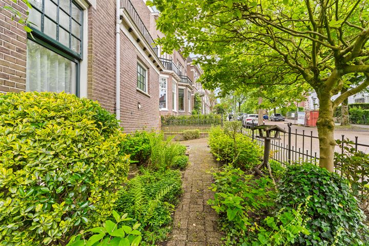 View photo 55 of Sweerts de Landasstraat 109-1