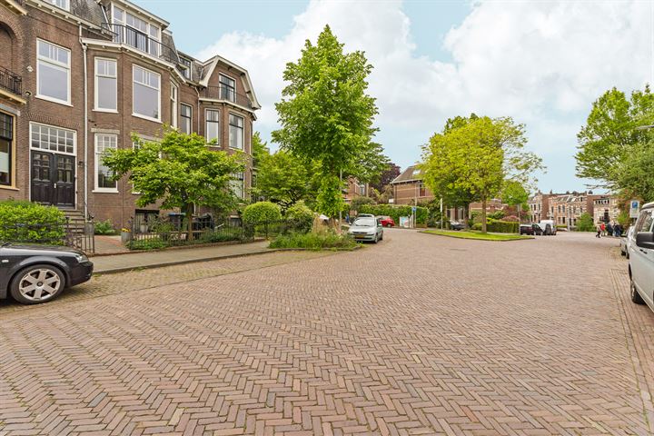 View photo 63 of Sweerts de Landasstraat 109-1