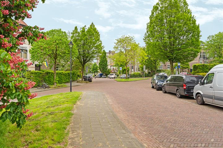 View photo 60 of Sweerts de Landasstraat 109-1