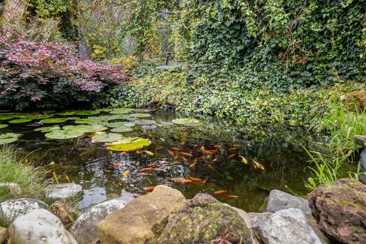 Foto 26 van Molenstraat 66