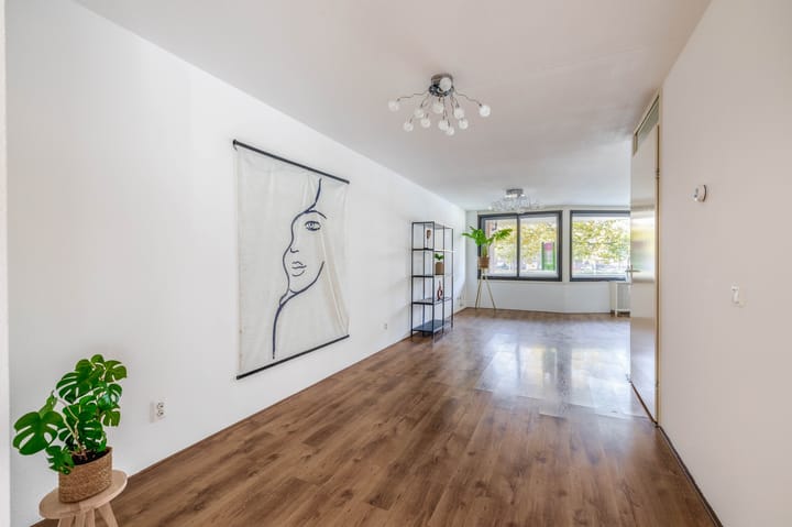 Foto 22 van Aelbrechtskade 36