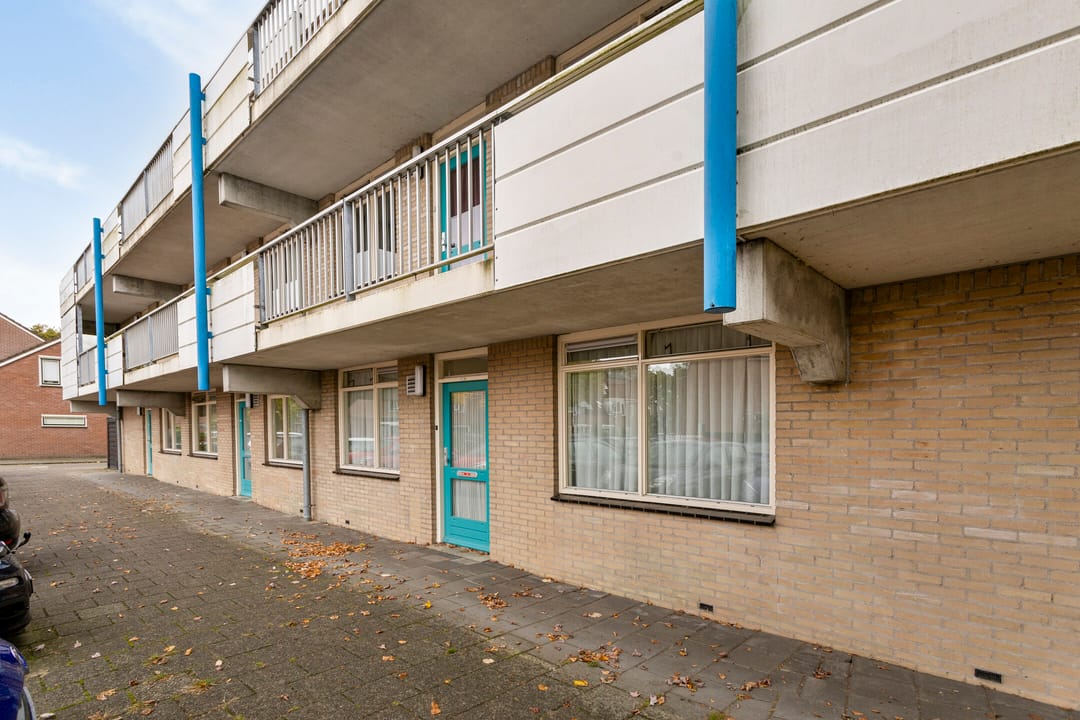 Foto 2 van Ebbenhorst 1