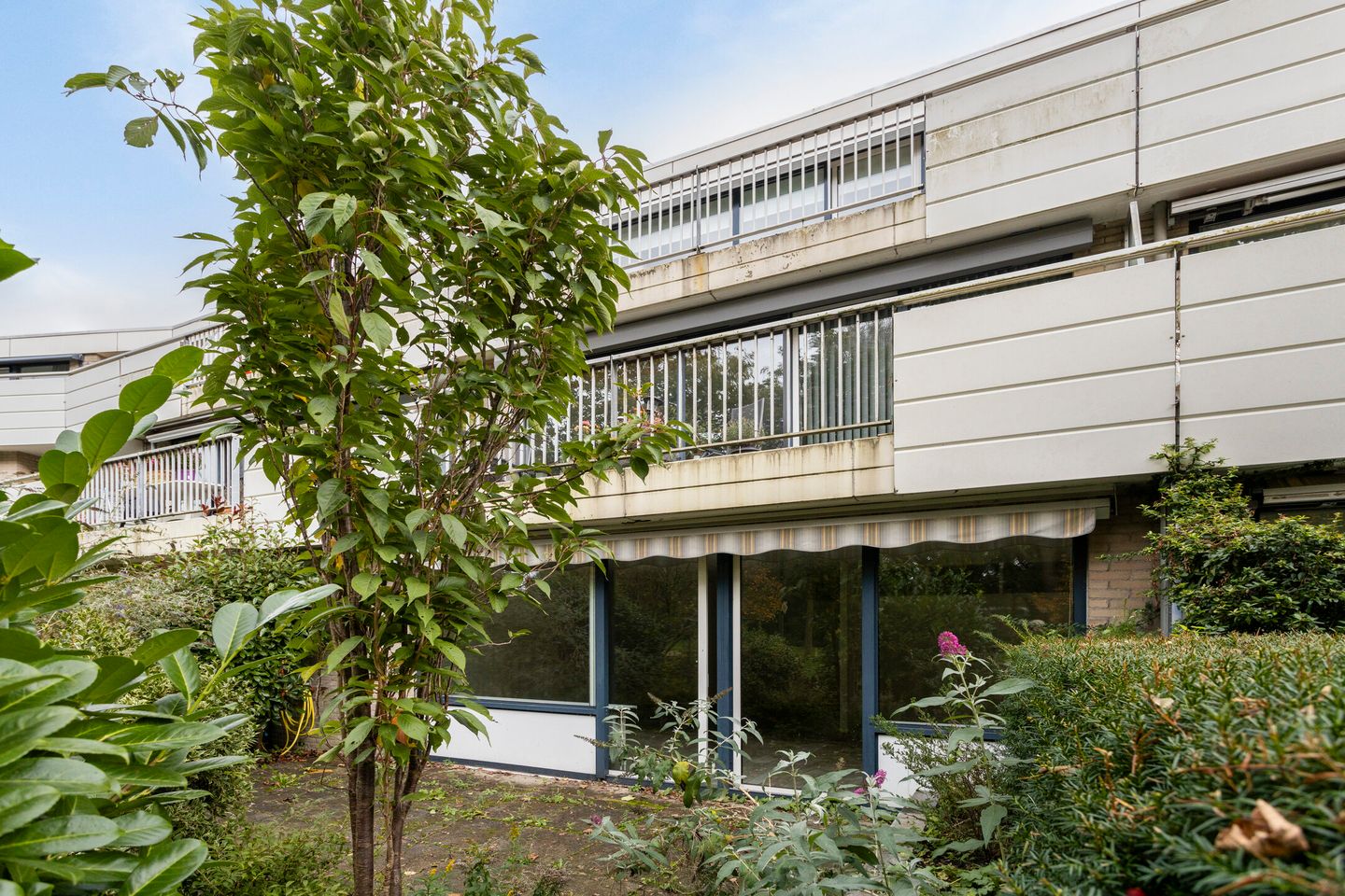 Foto 1 van Ebbenhorst 1